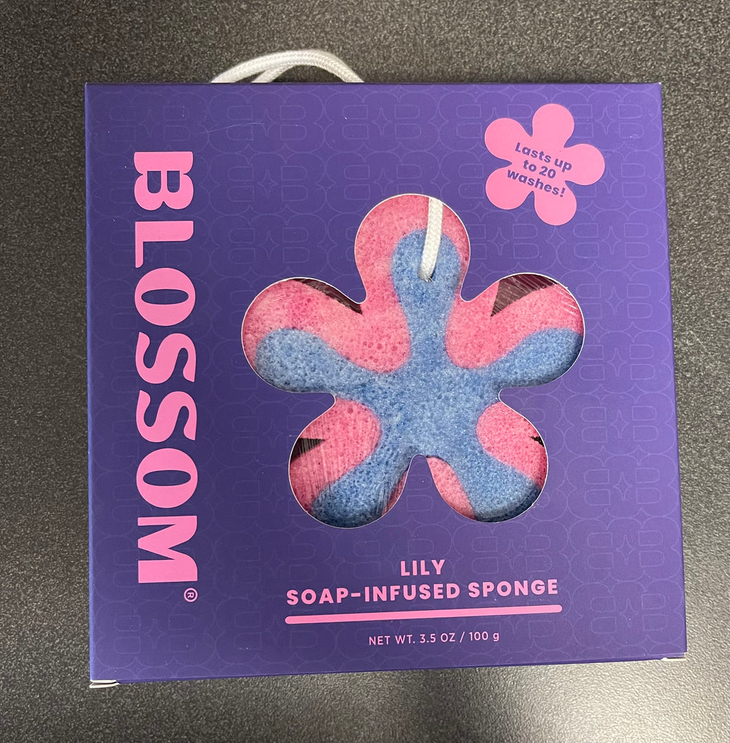 Soap-infused Sponge