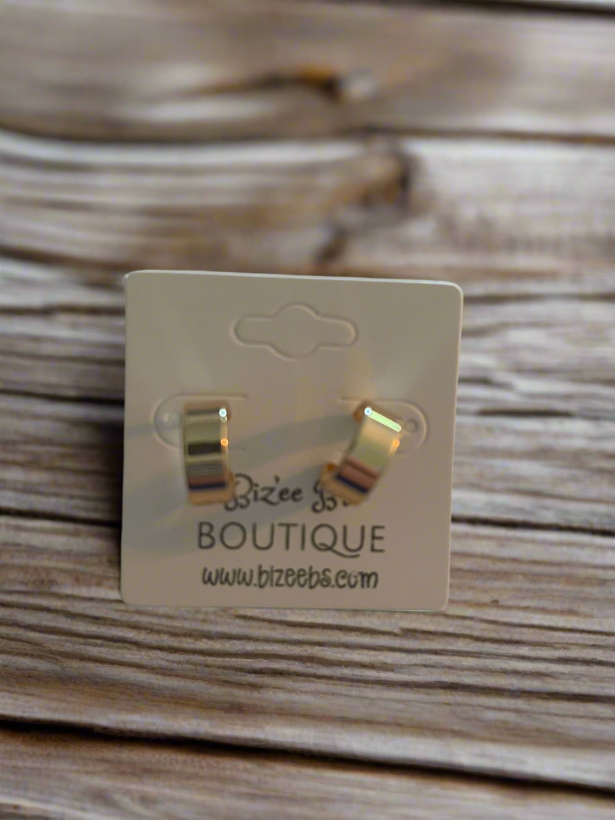 Small Loop Earrings