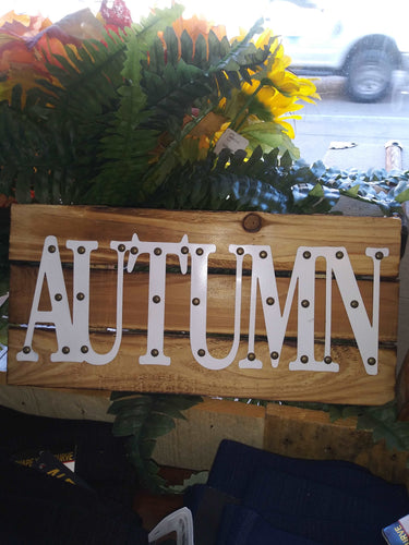 Autumn Decor