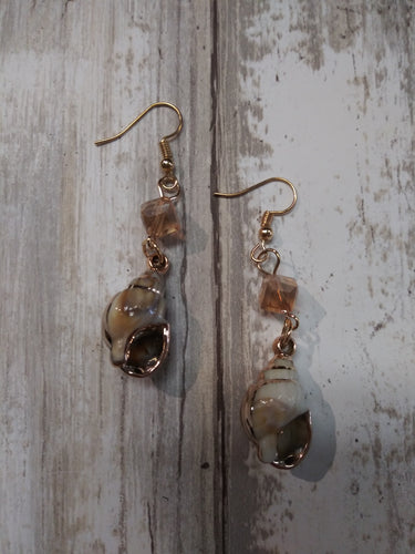 Seashell Earrings