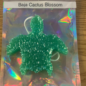 Baja Cactus Blossom Car Freshie